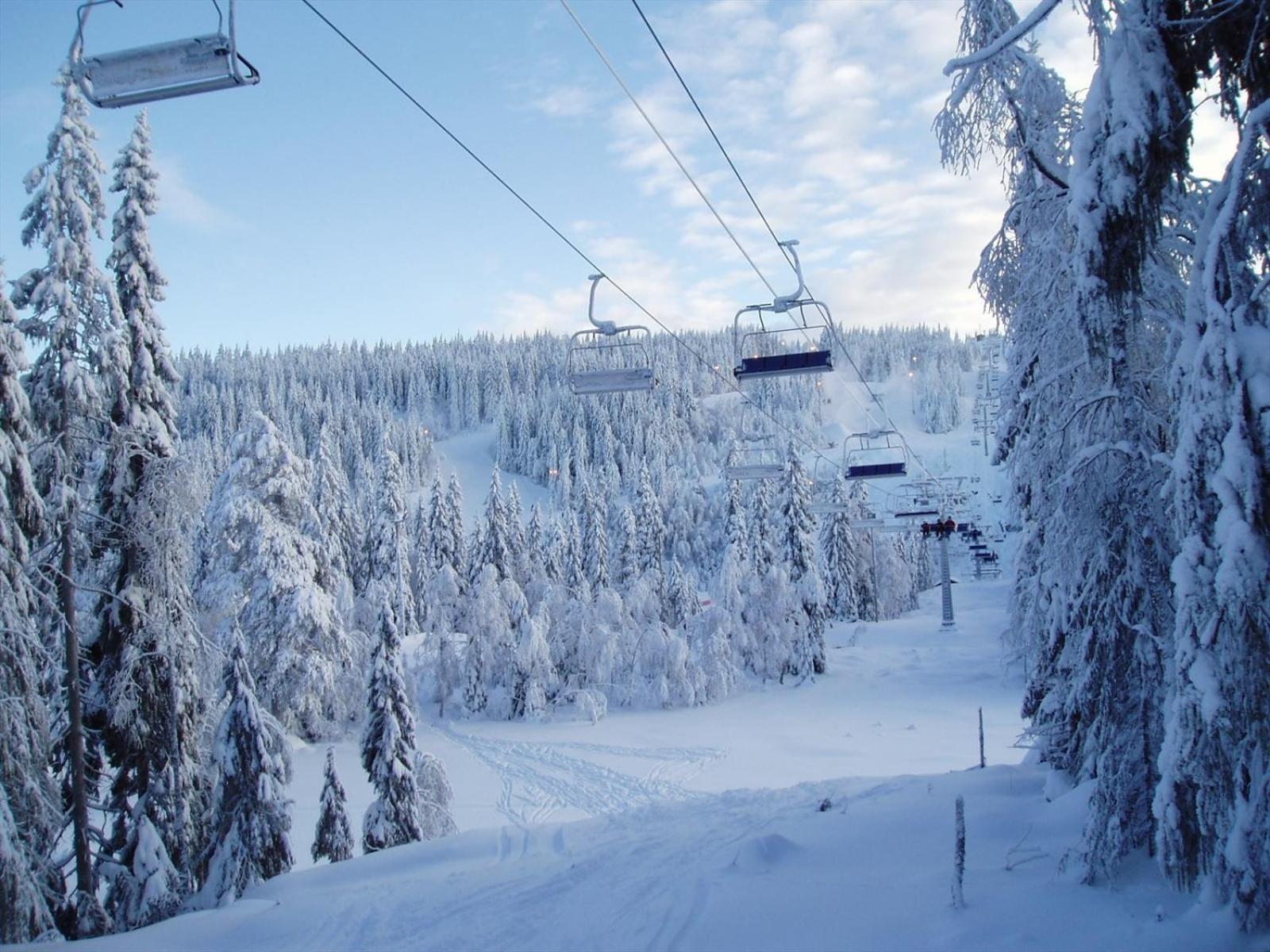 דירות אוסלו Holmenkollen Forest House Free Parking מראה חיצוני תמונה